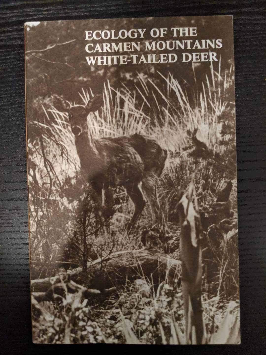 Ecology of the Carmen Mountains White tailed deer