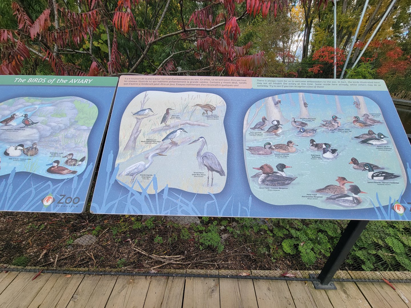 Ecomuseum Zoo - Aviary, birds that are sometimes present/they hope to add