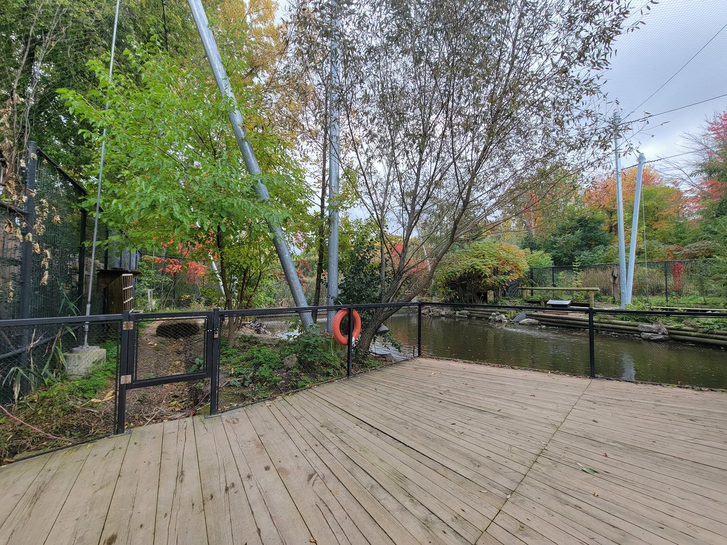 Ecomuseum Zoo - Aviary