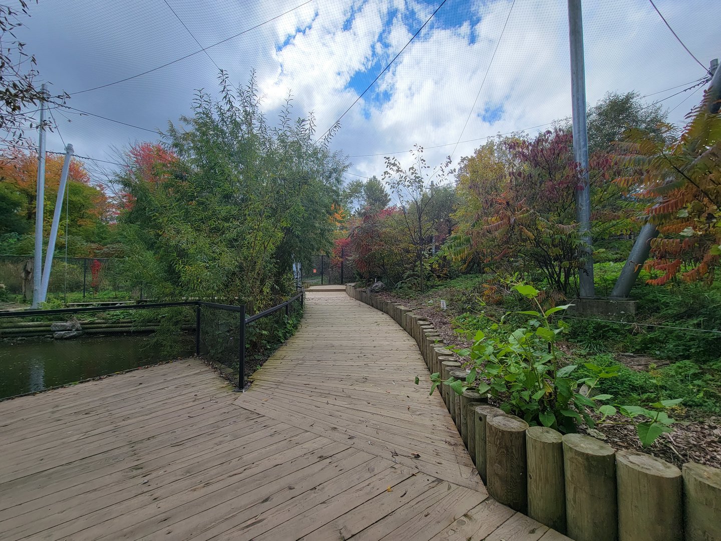 Ecomuseum Zoo - Aviary