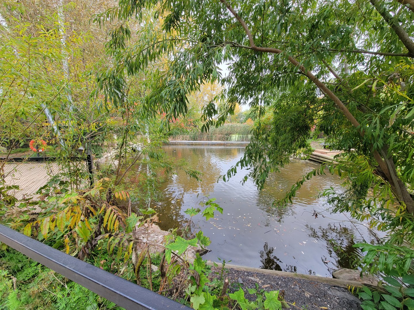 Ecomuseum Zoo - Aviary