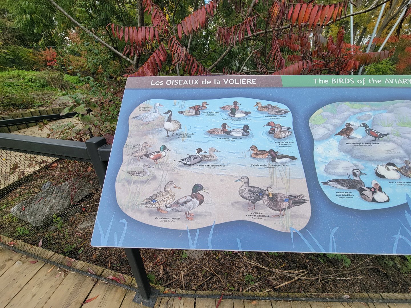 Ecomuseum Zoo - Aviary