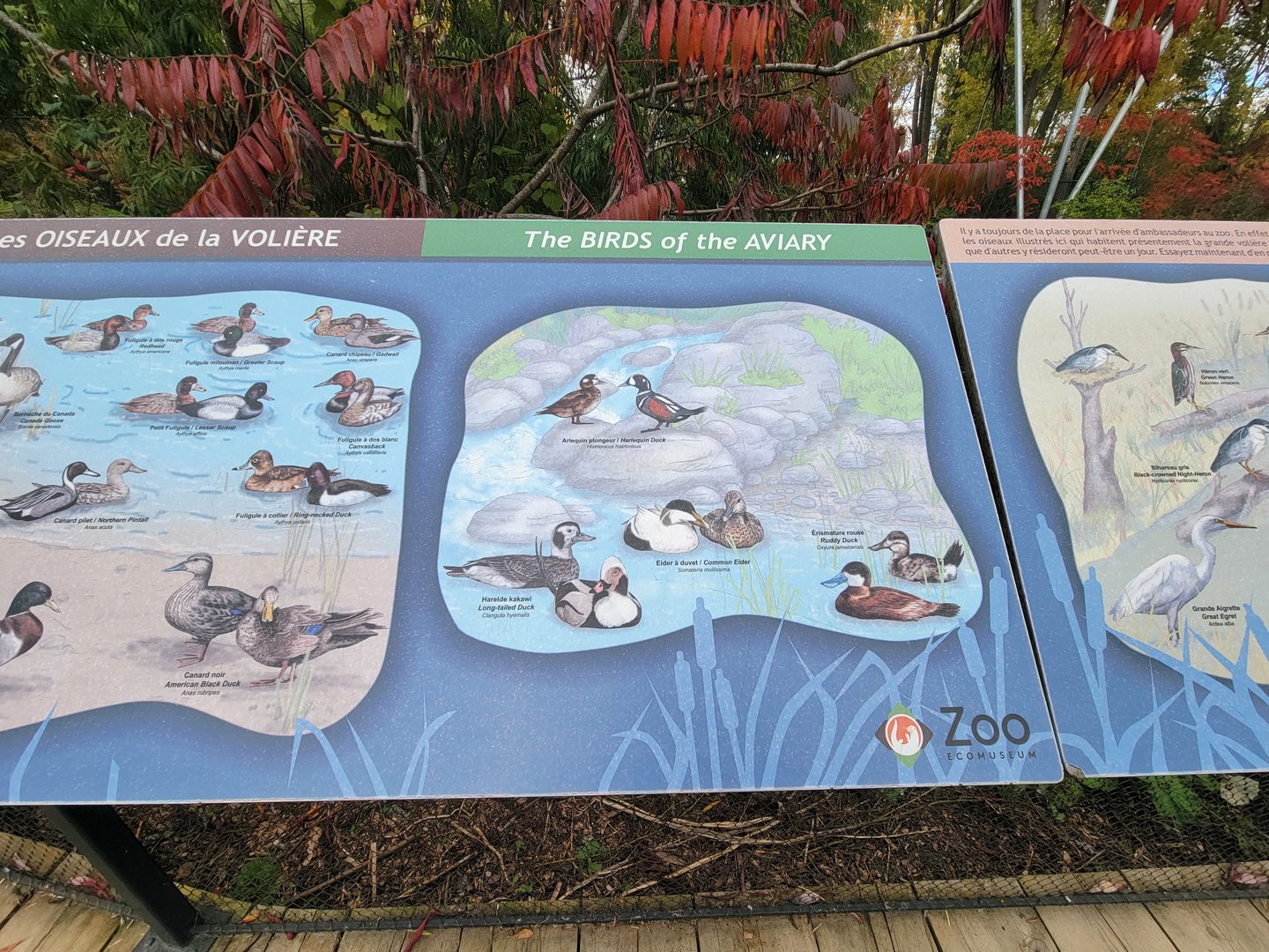 Ecomuseum Zoo - Aviary