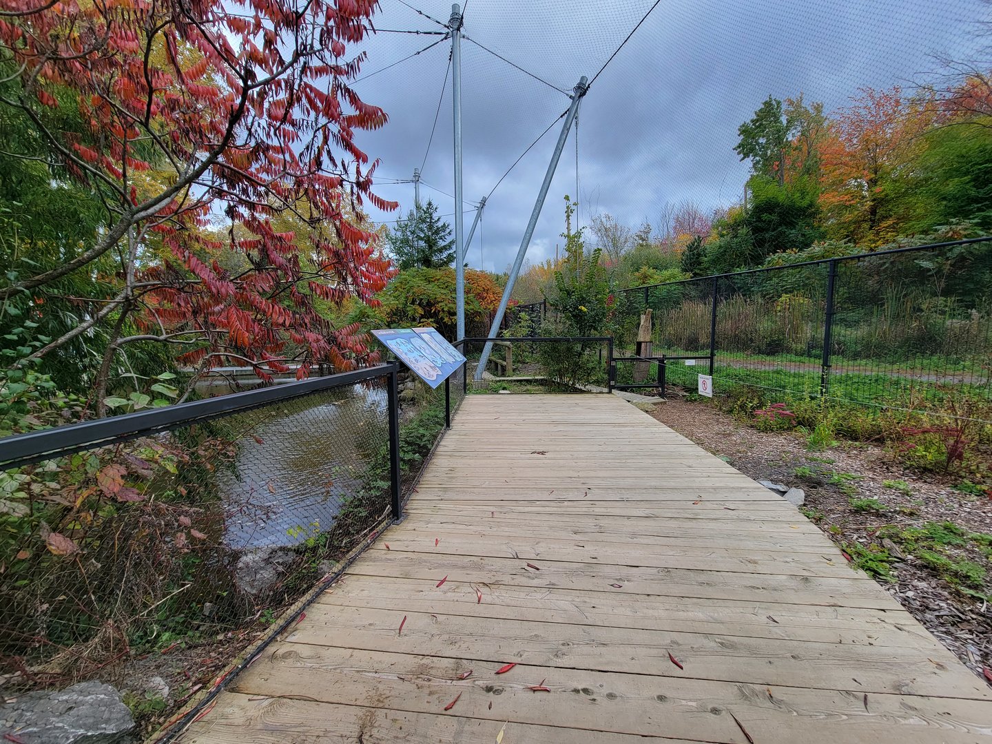 Ecomuseum Zoo - Aviary