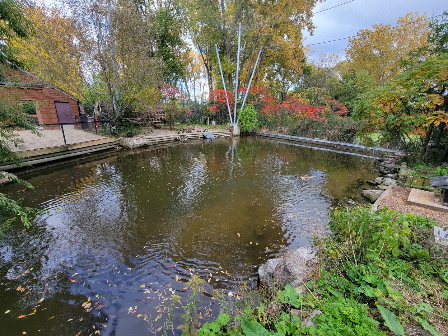 Ecomuseum Zoo - Aviary