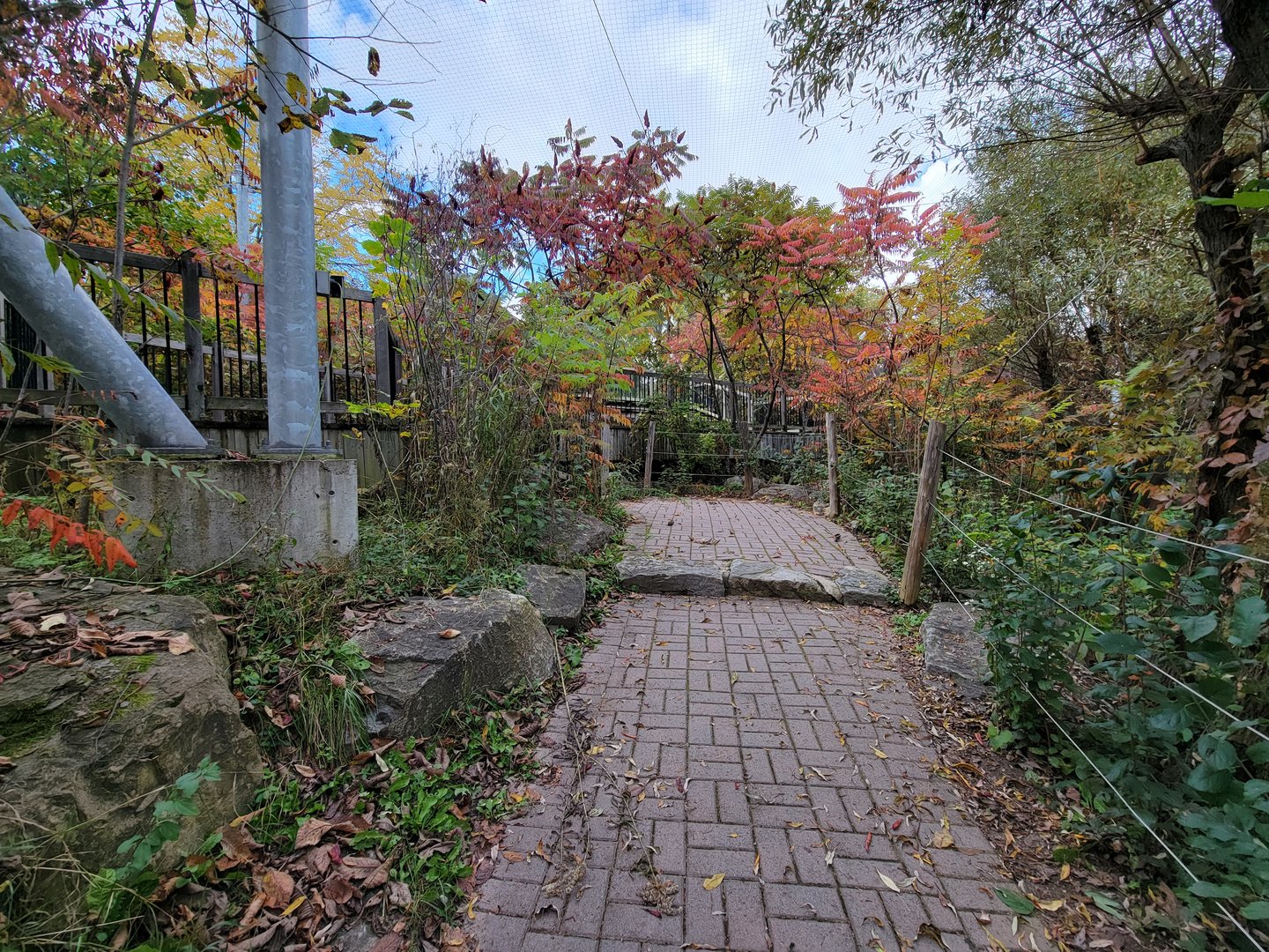 Ecomuseum Zoo - Aviary