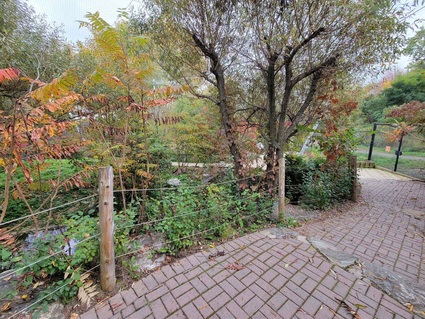 Ecomuseum Zoo - Aviary