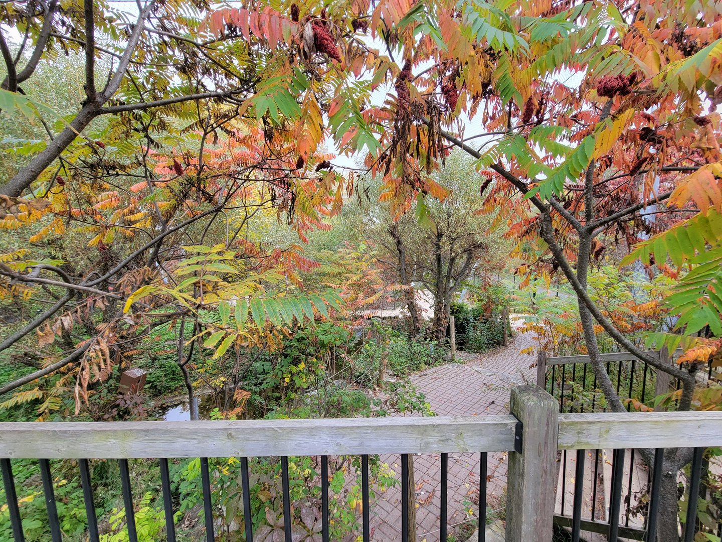 Ecomuseum Zoo - Aviary