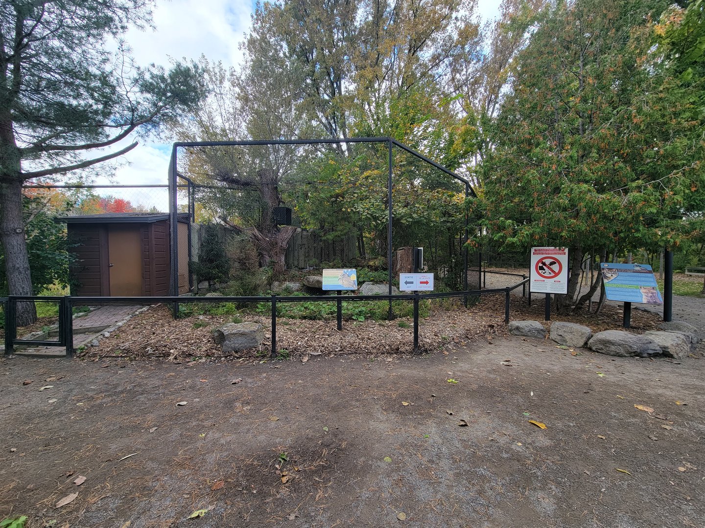 Ecomuseum Zoo - Barred owl