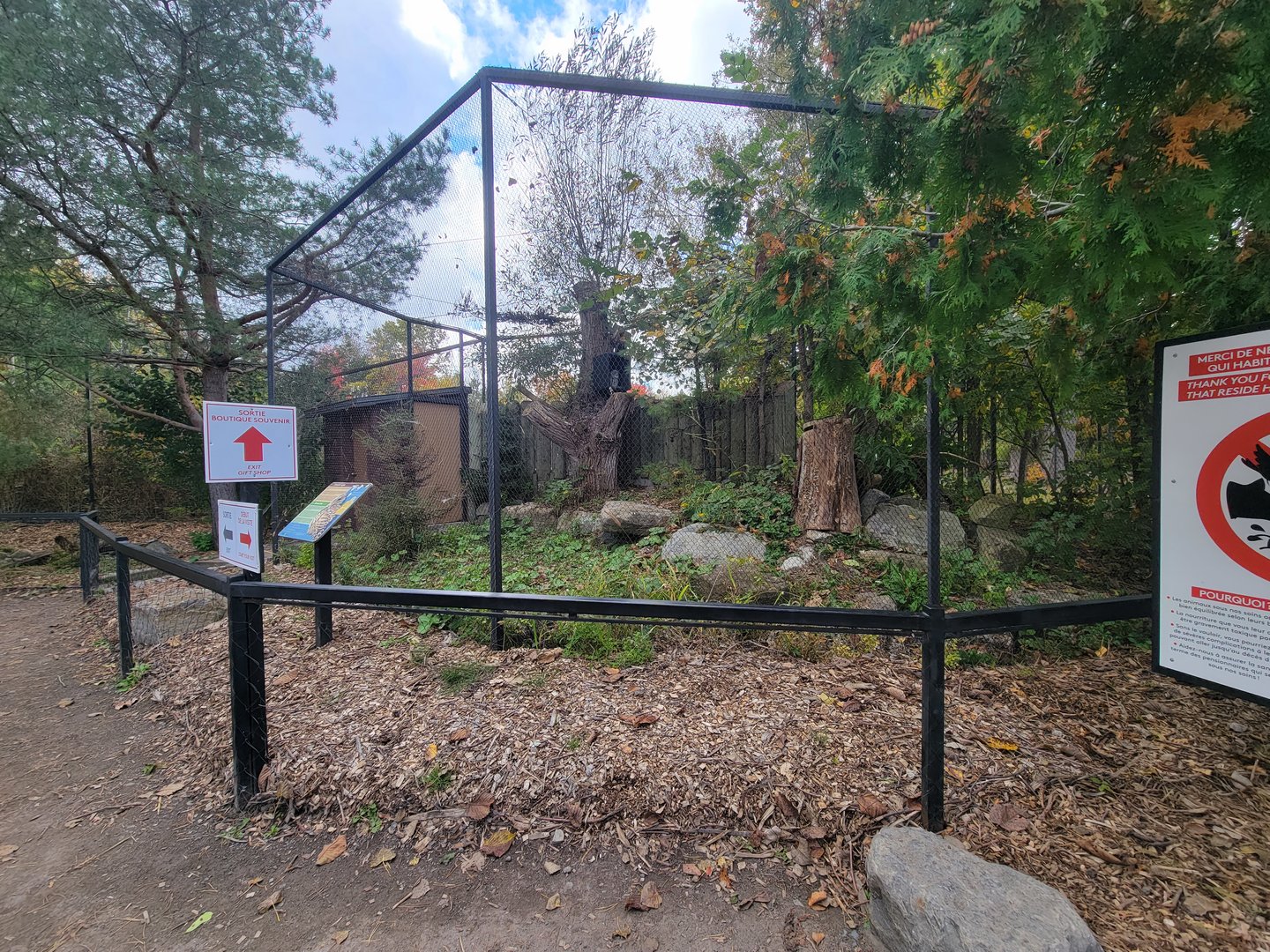 Ecomuseum Zoo - Barred owl