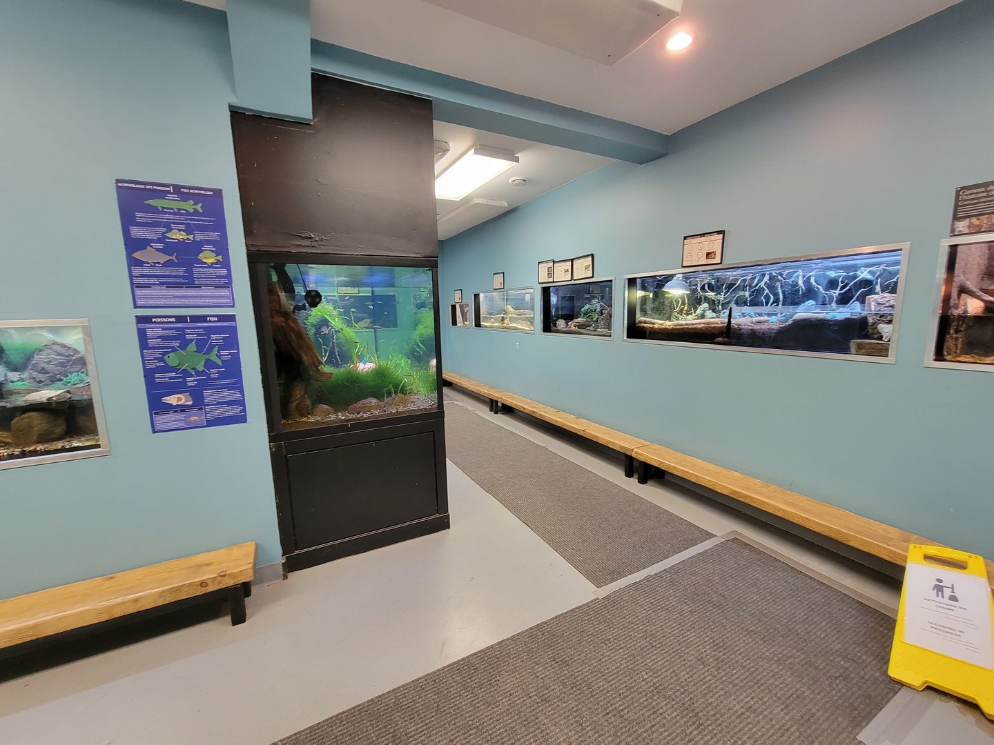 Ecomuseum Zoo - Corner, the room is a reverse U shape