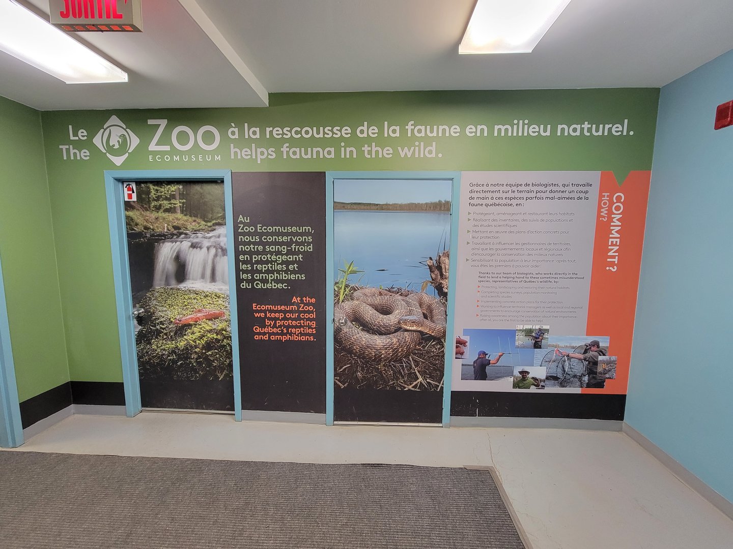 Ecomuseum Zoo - Downstairs, herp/fish area