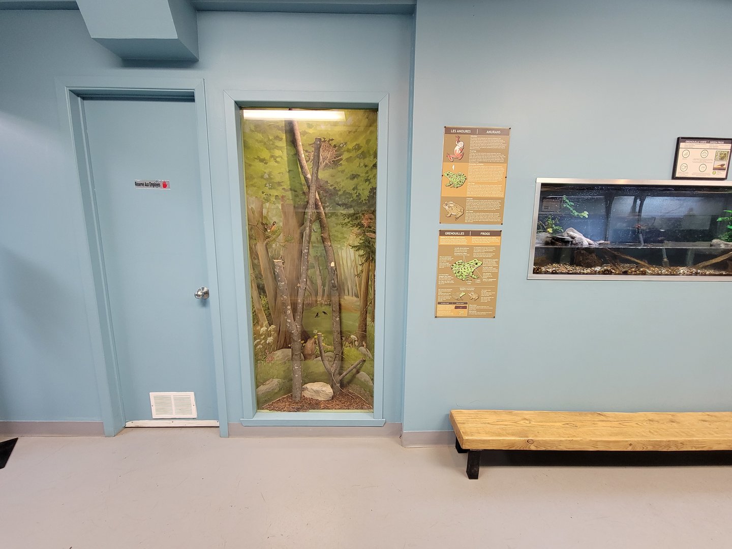 Ecomuseum Zoo - Empty tall exhibit