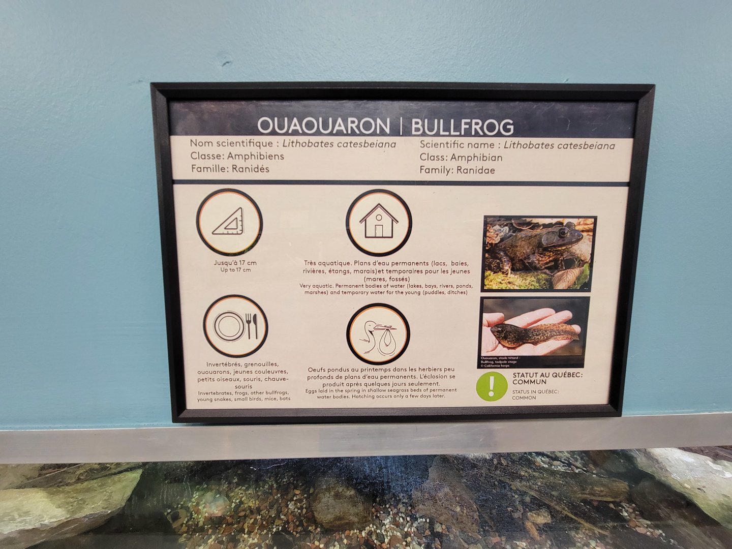 Ecomuseum Zoo - Example of great signage