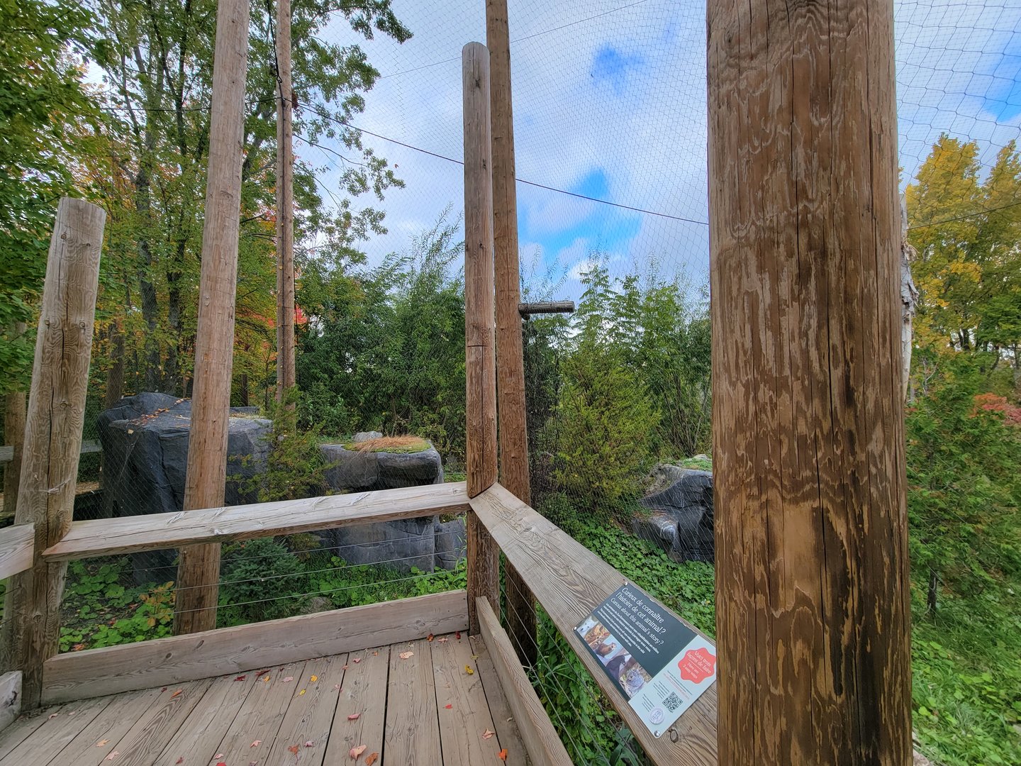 Ecomuseum Zoo - Golden and bald eagles