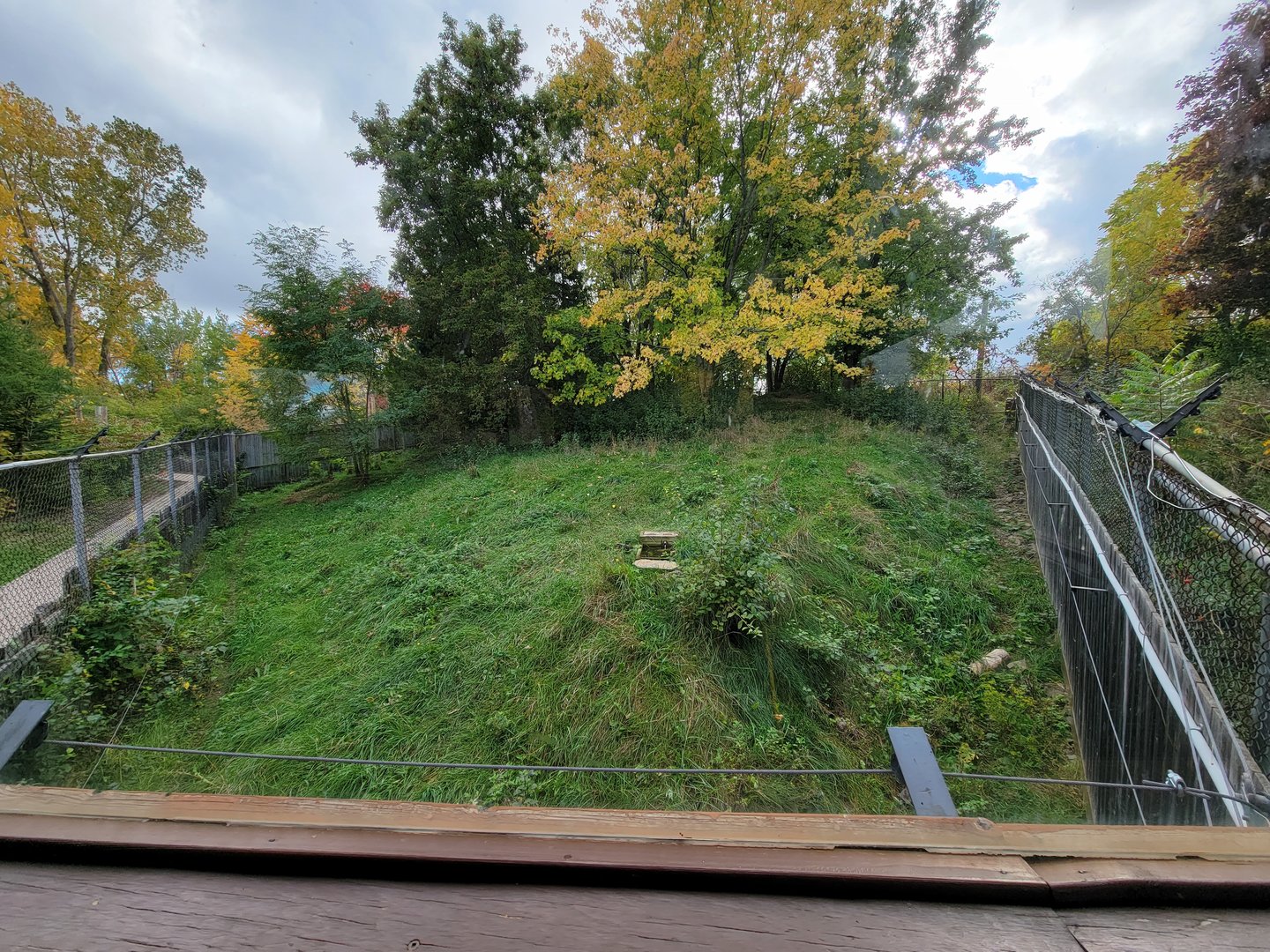 Ecomuseum Zoo - Gray wolf second exhibit