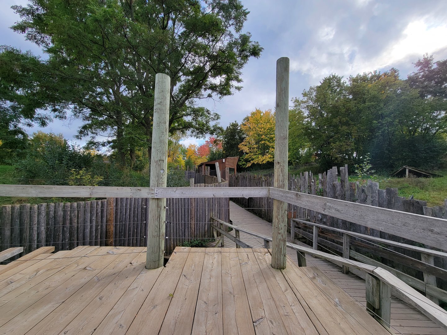 Ecomuseum Zoo - Gray wolf viewing area