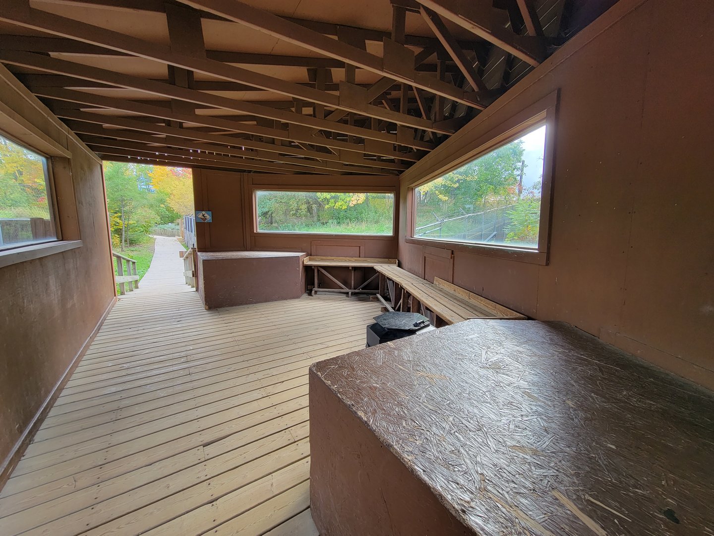 Ecomuseum Zoo - Gray wolf viewing area