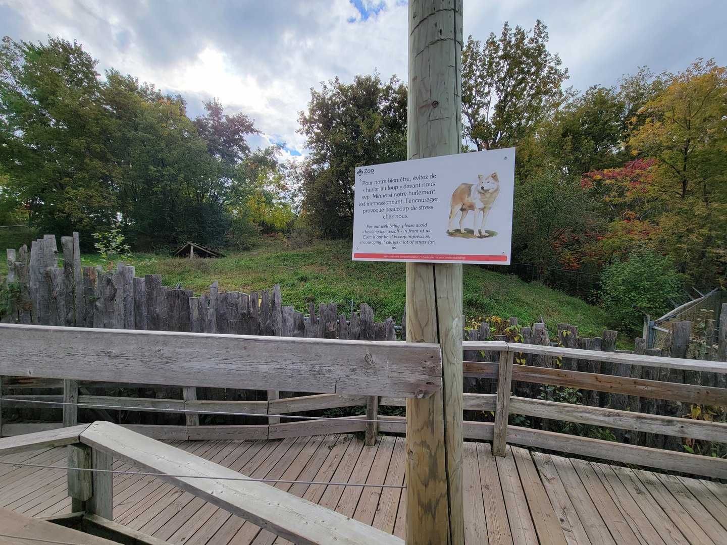 Ecomuseum Zoo - Gray wolf