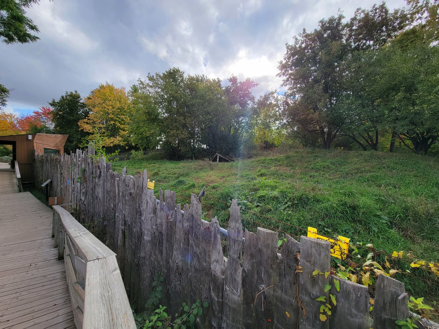 Ecomuseum Zoo - Gray wolf