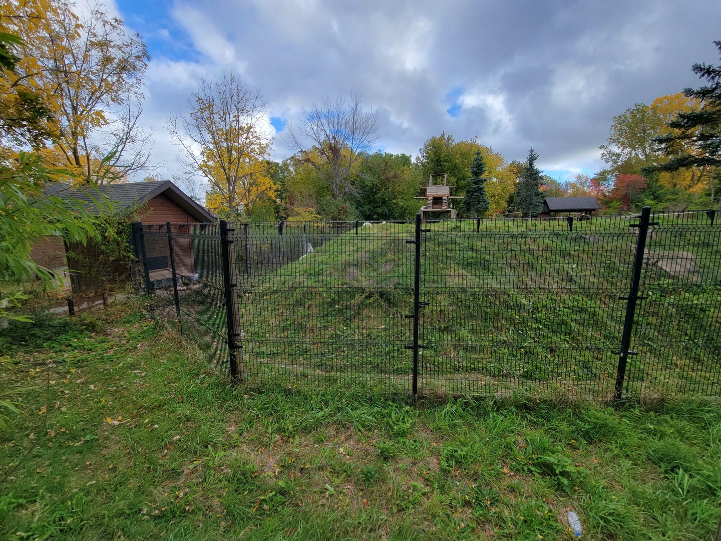 Ecomuseum Zoo - Huge Arctic fox exhibit