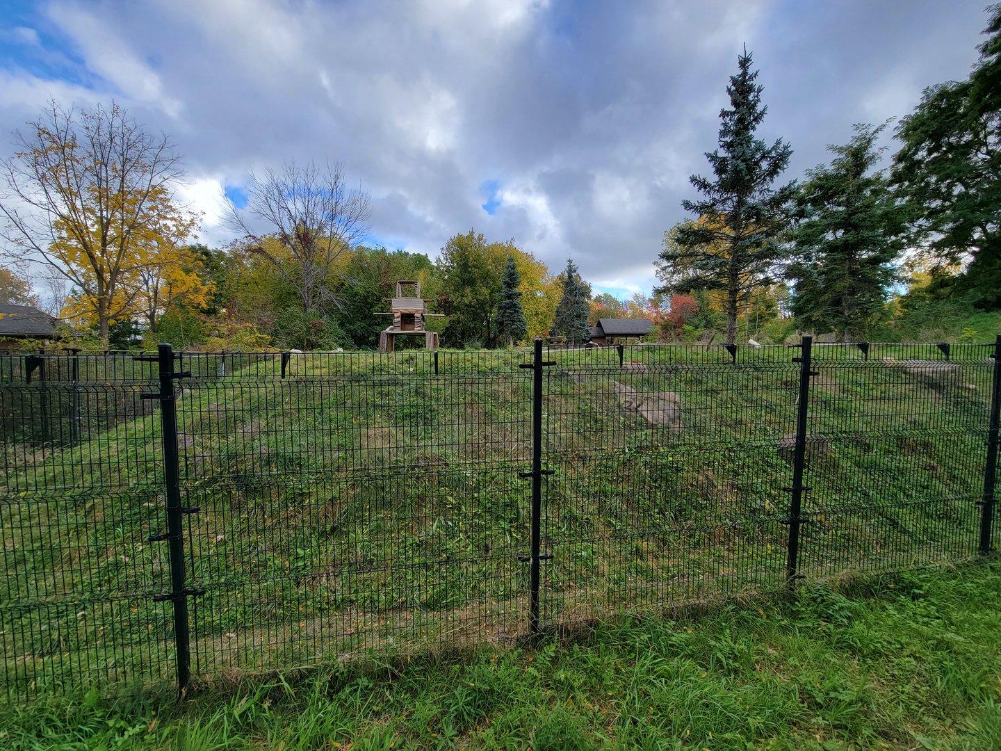 Ecomuseum Zoo - Huge Arctic fox exhibit