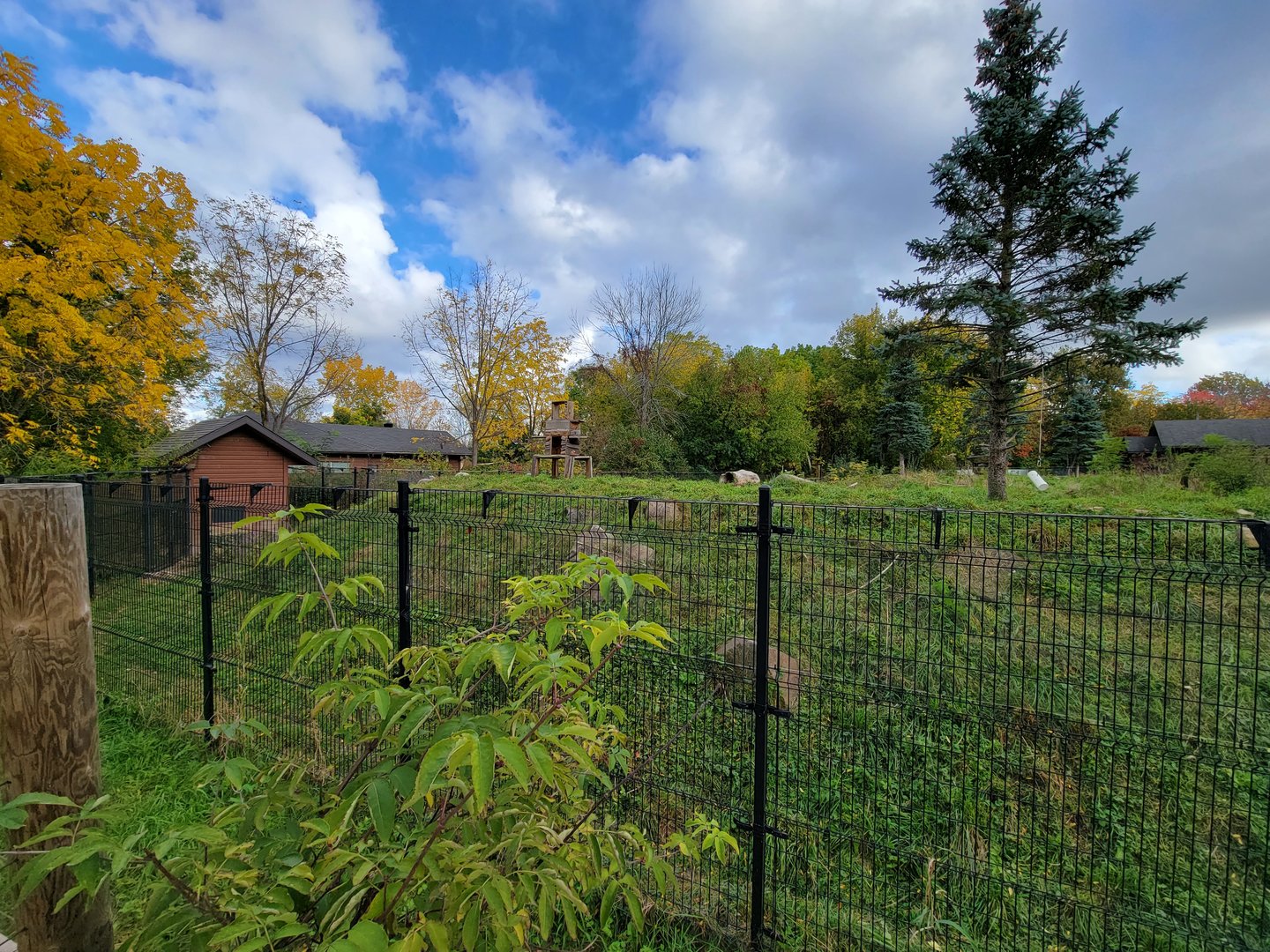 Ecomuseum Zoo - Huge Arctic fox exhibit