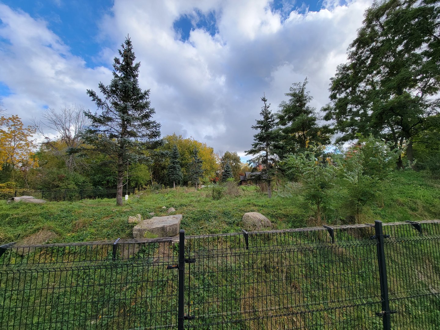 Ecomuseum Zoo - Huge Arctic fox exhibit
