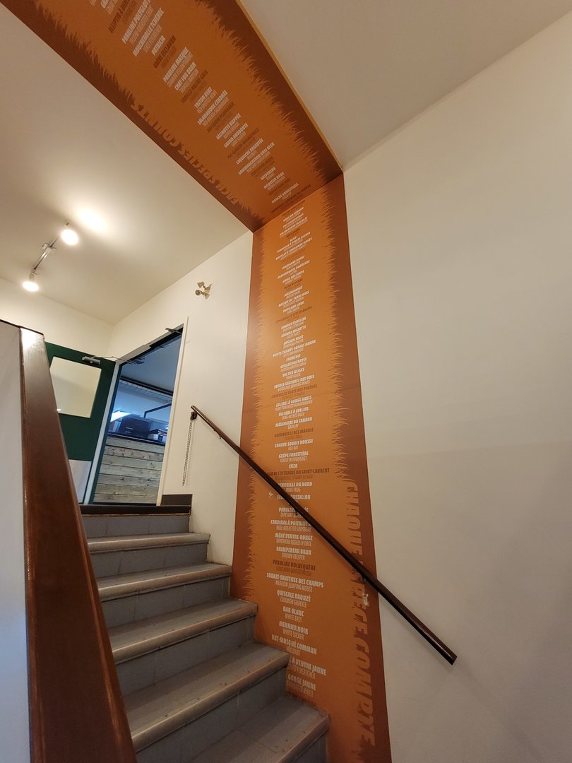 Ecomuseum Zoo - Lists of species on the wall