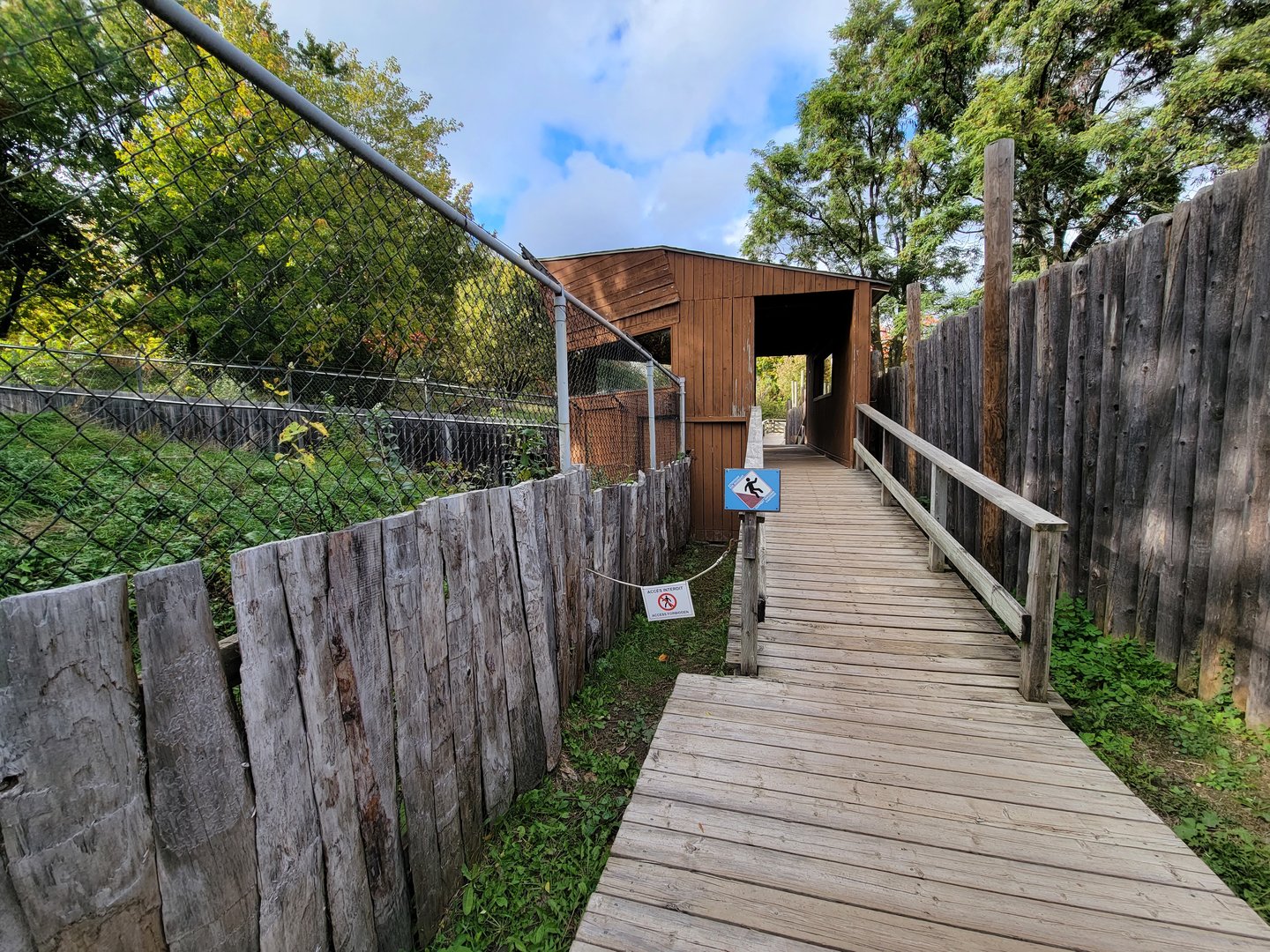 Ecomuseum Zoo - Looking back at gray wolf viewing platform