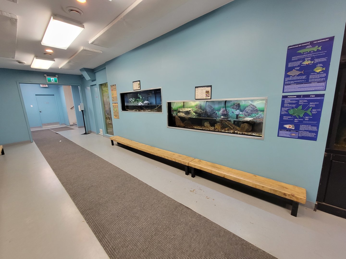 Ecomuseum Zoo - Looking back at turtles