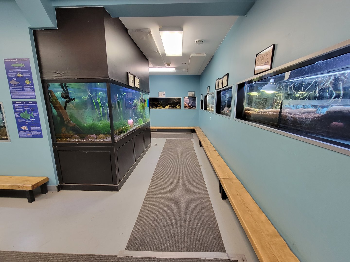 Ecomuseum Zoo - More exhibits