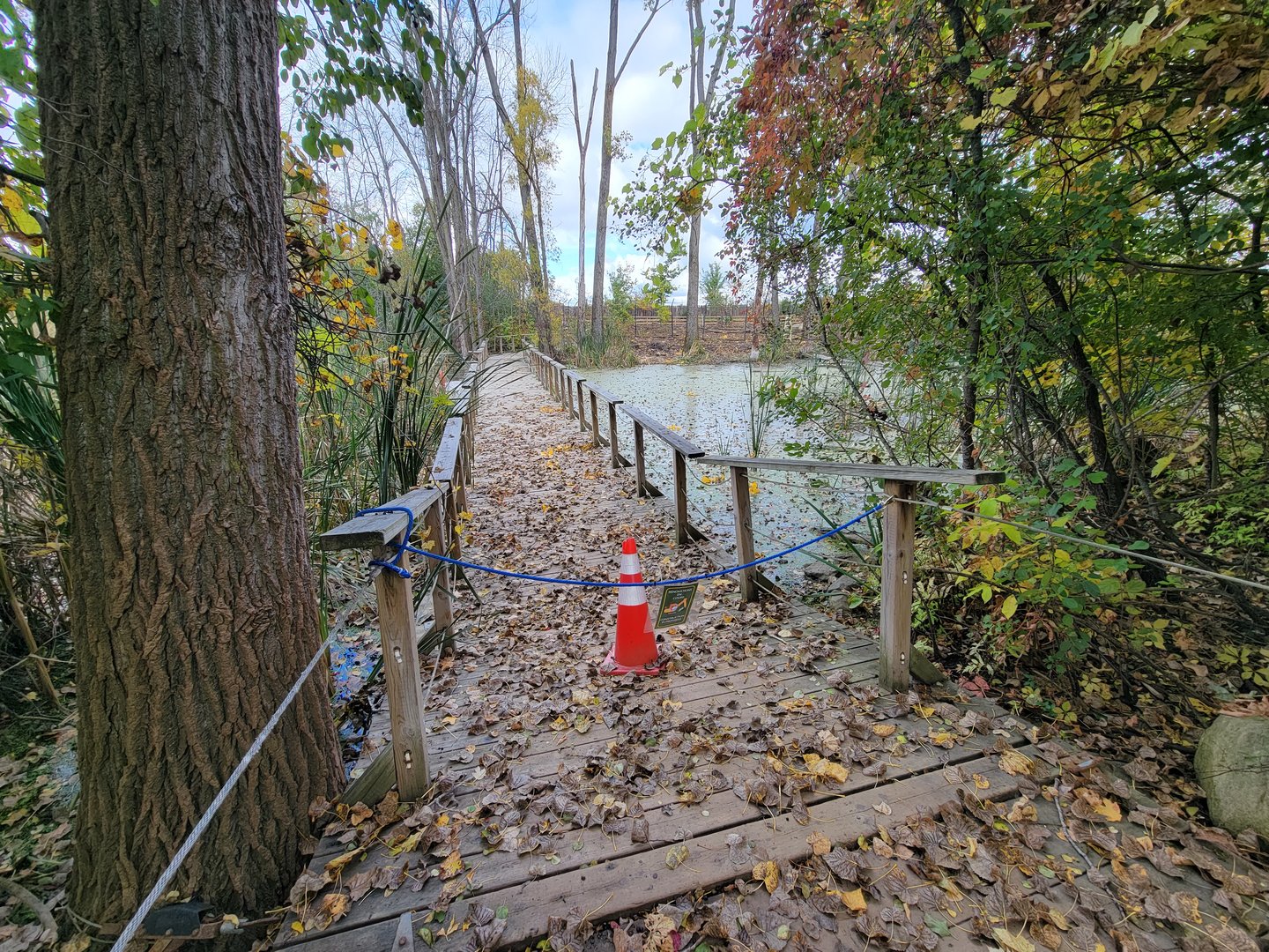Ecomuseum Zoo - Other end of closed path to red foxes