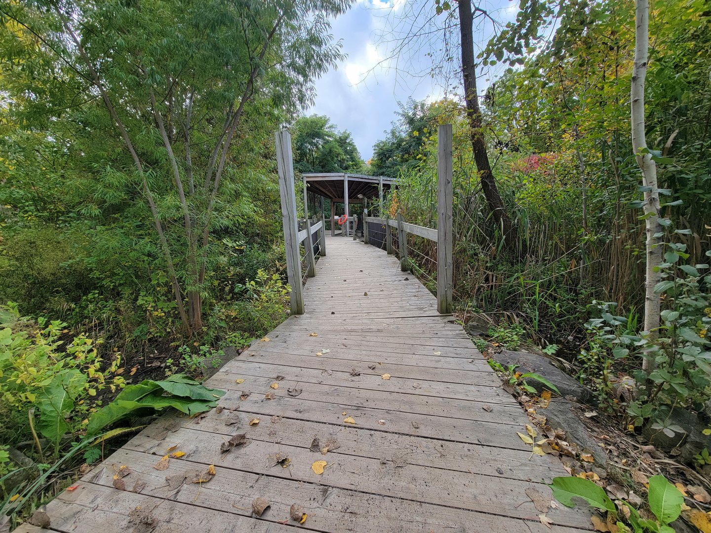 Ecomuseum Zoo - Path to outdoor turtles