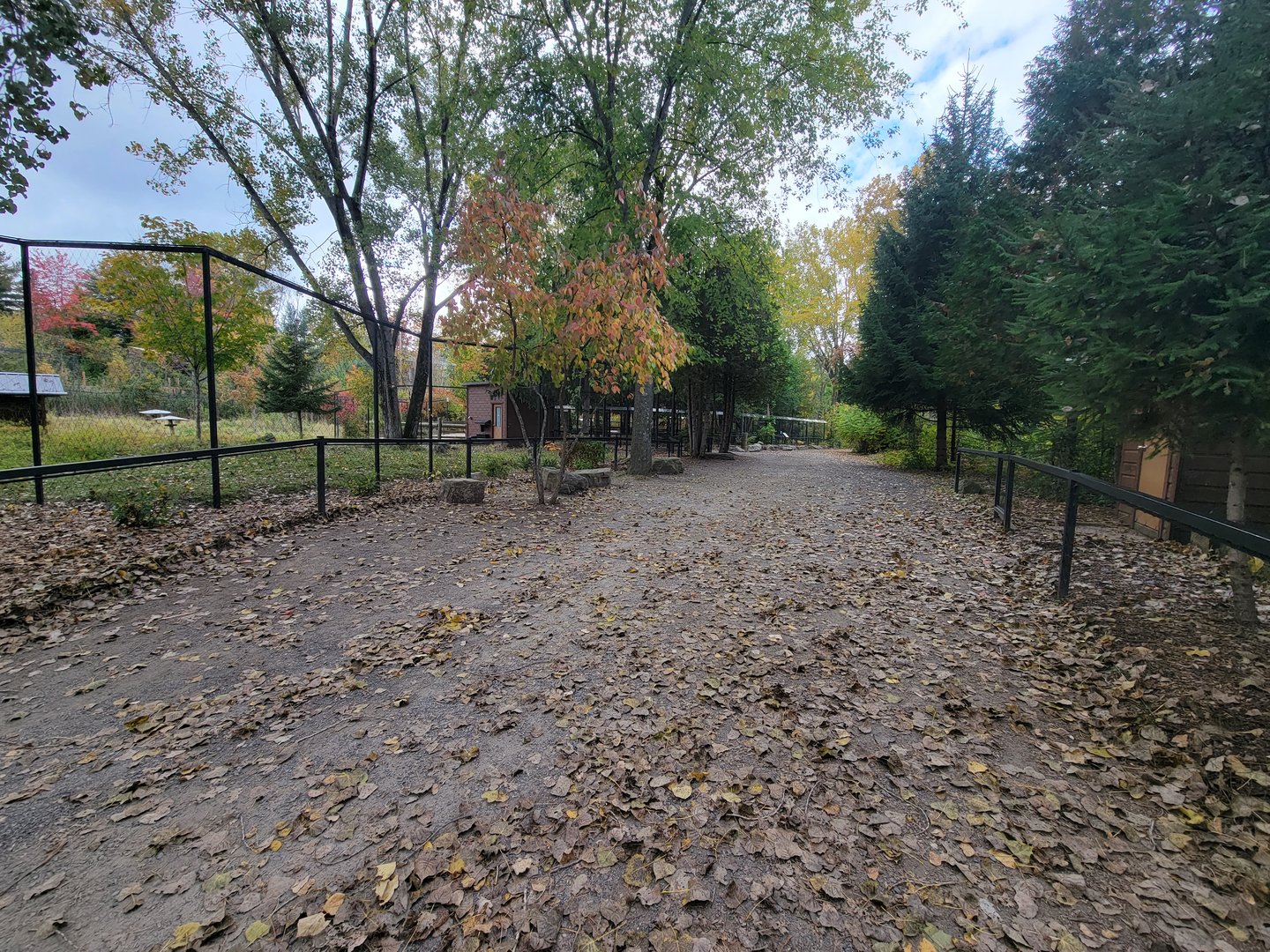 Ecomuseum Zoo - Path
