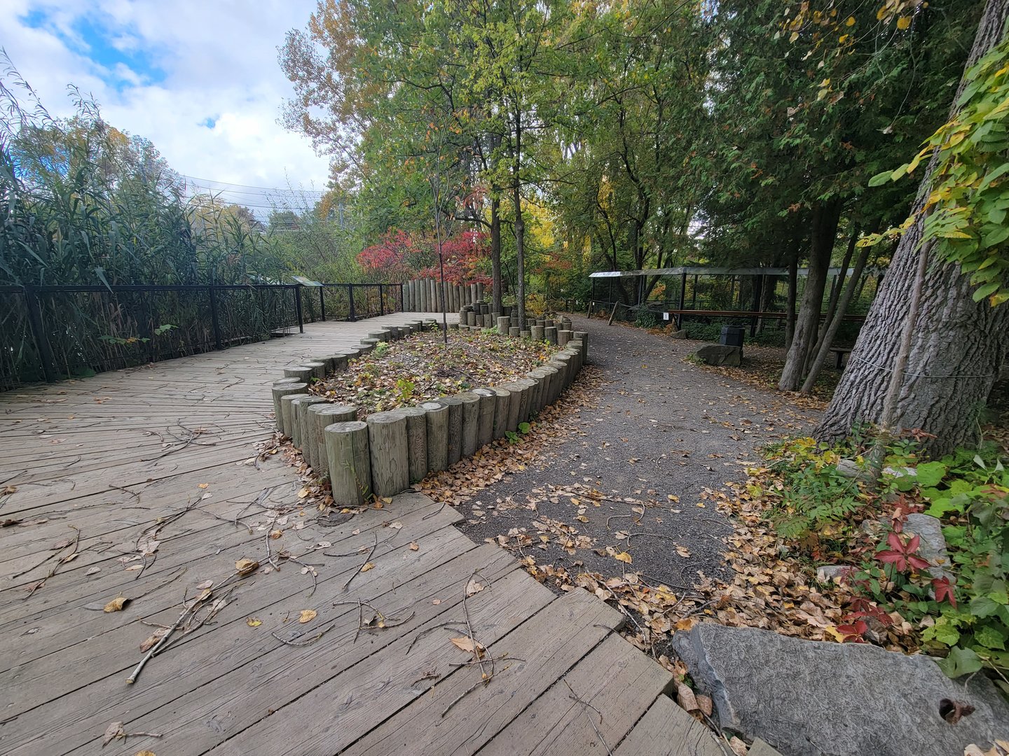 Ecomuseum Zoo - Path