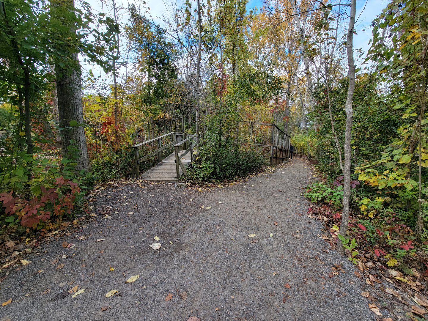 Ecomuseum Zoo - Path
