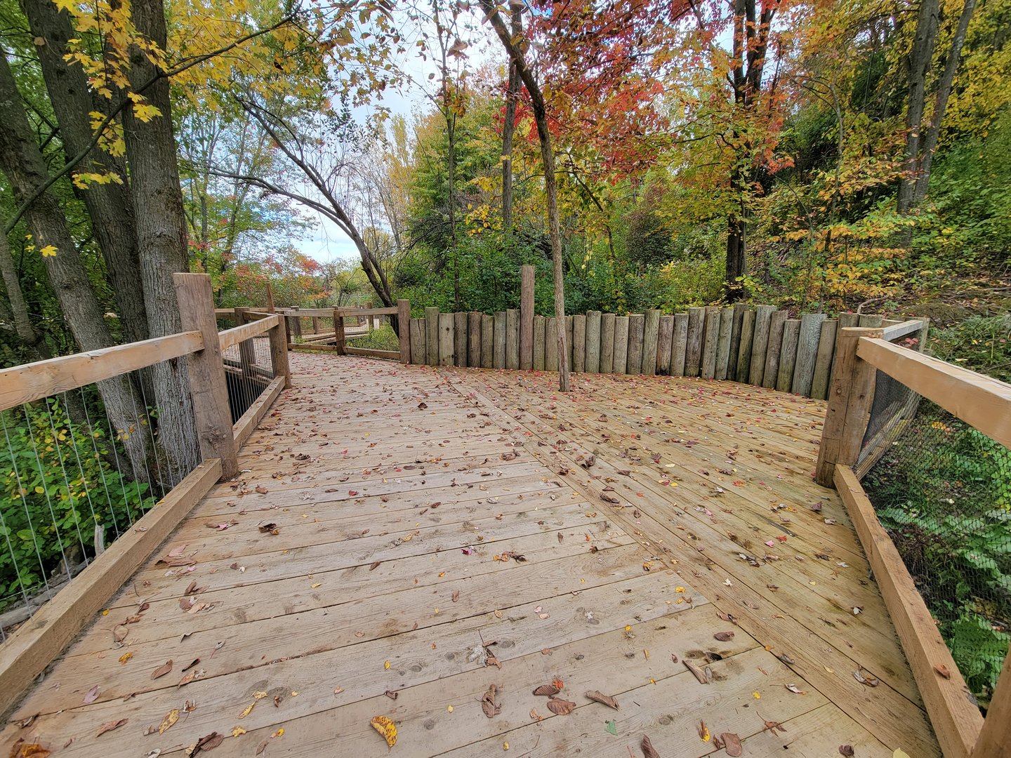 Ecomuseum Zoo - Path