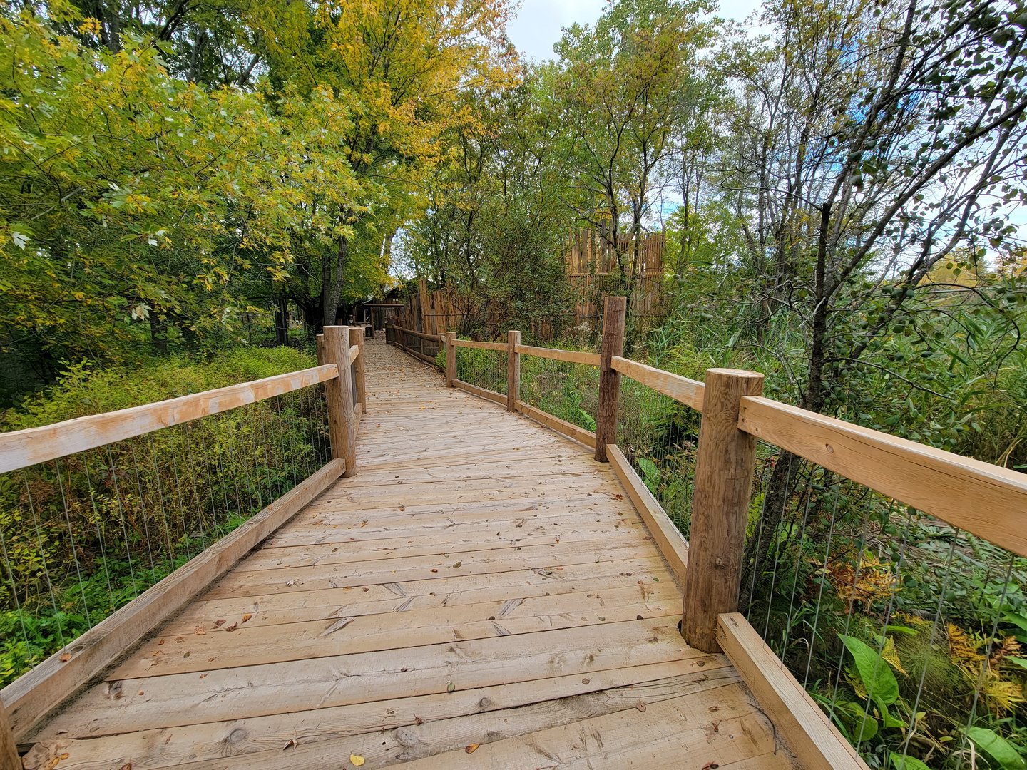 Ecomuseum Zoo - Path