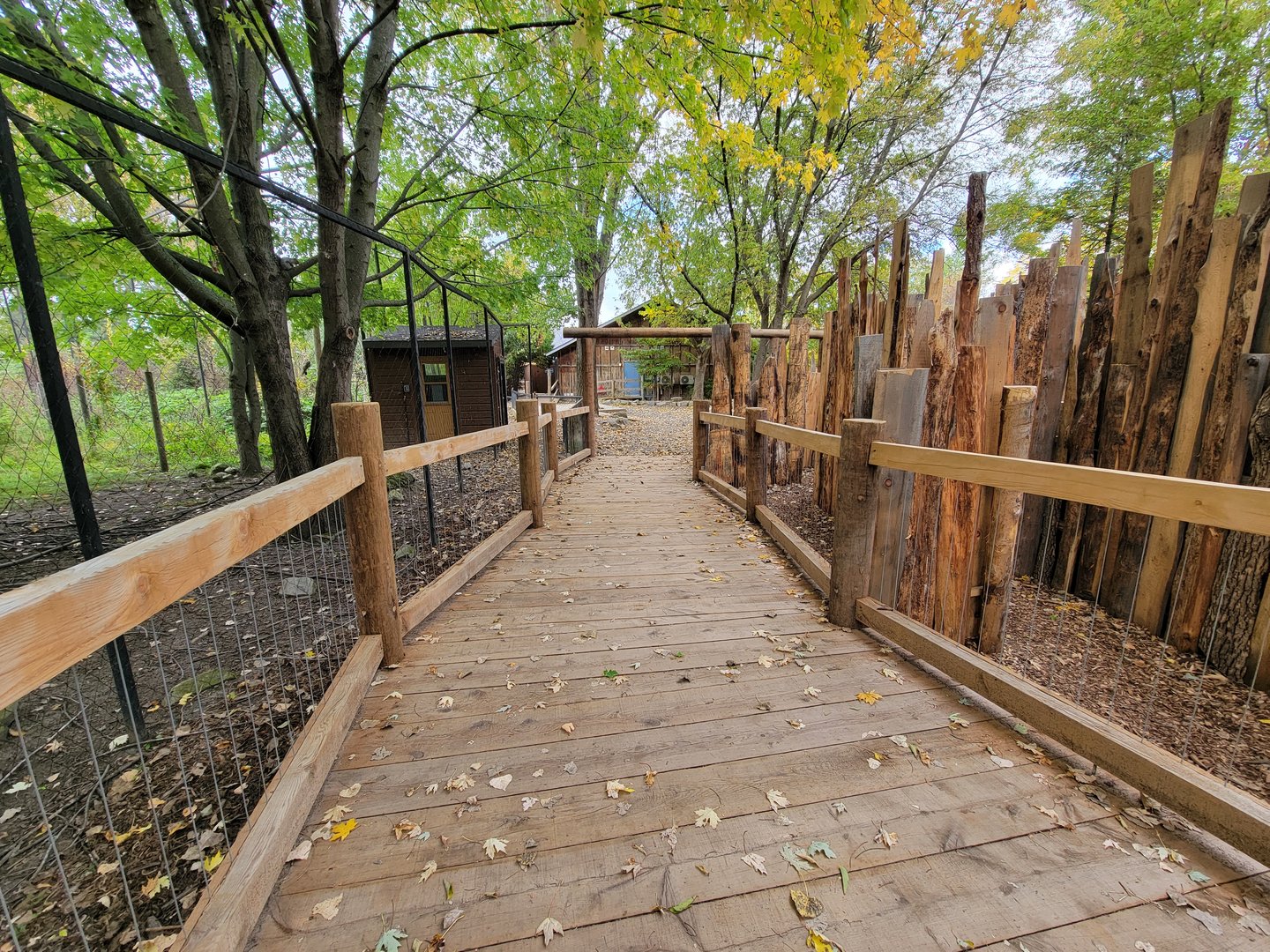 Ecomuseum Zoo - Path