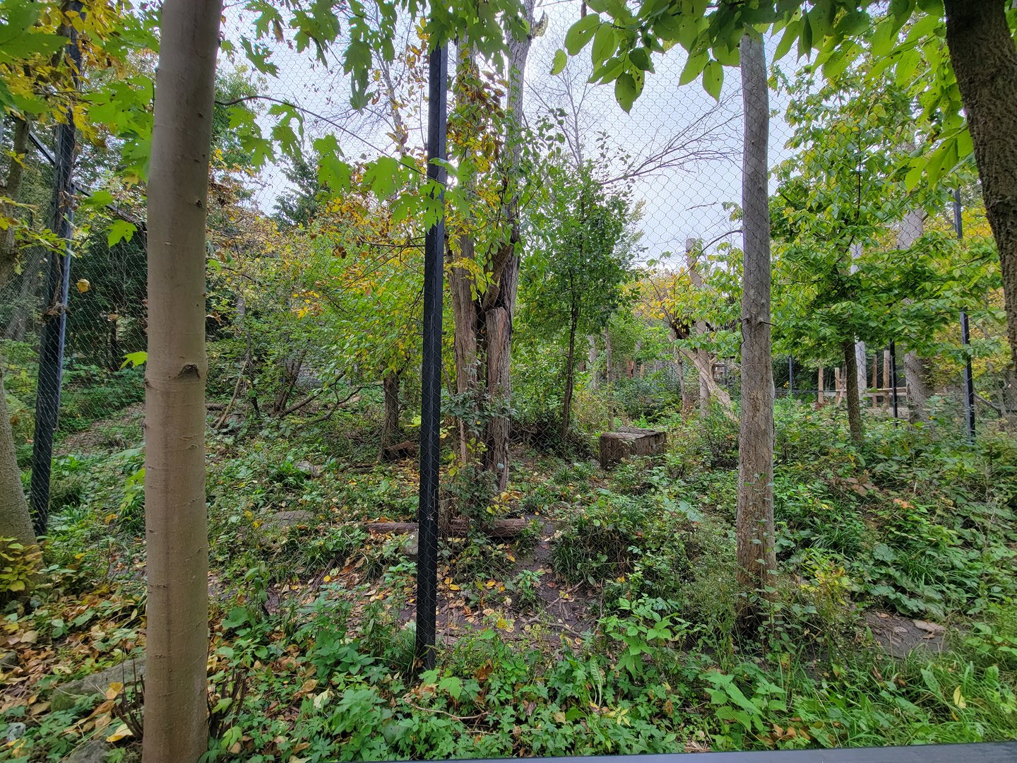 Ecomuseum Zoo - Pekan/Fisher