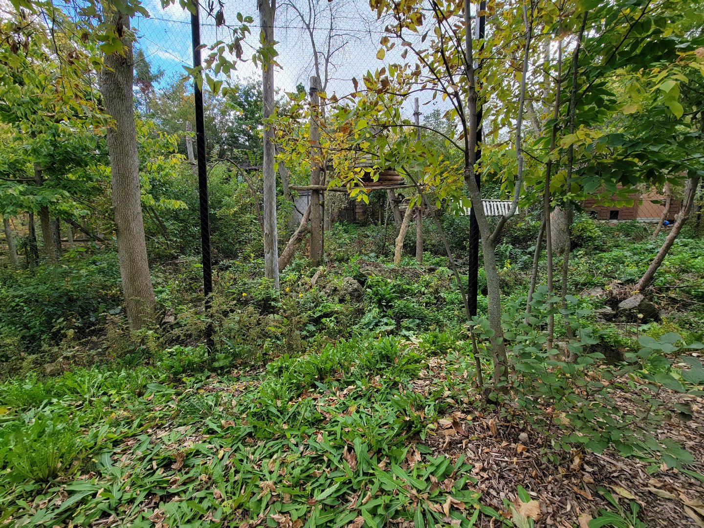 Ecomuseum Zoo - Pekan/Fisher