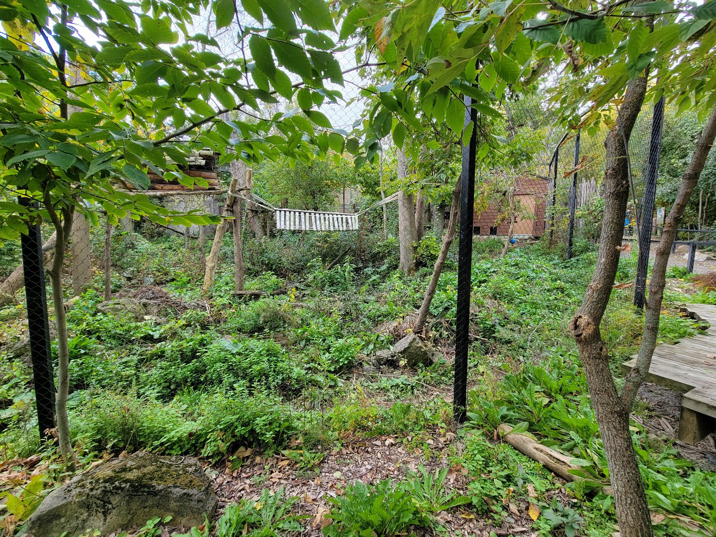 Ecomuseum Zoo - Pekan/Fisher