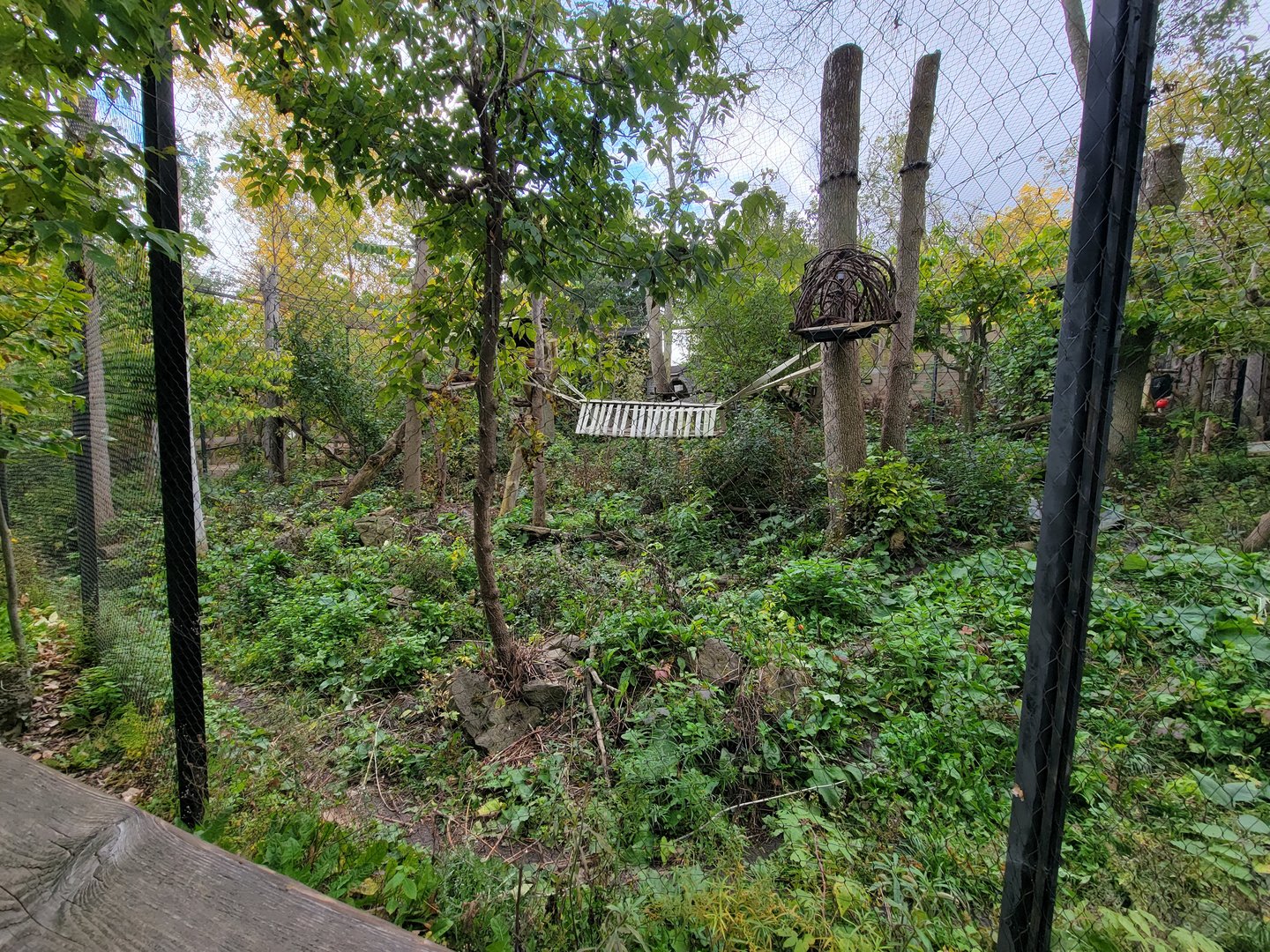 Ecomuseum Zoo - Pekan/Fisher