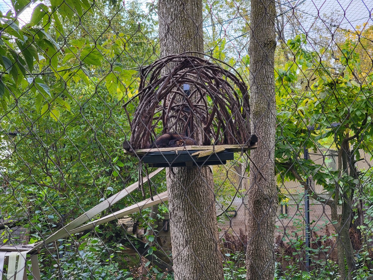 Ecomuseum Zoo - Pekan/Fisher