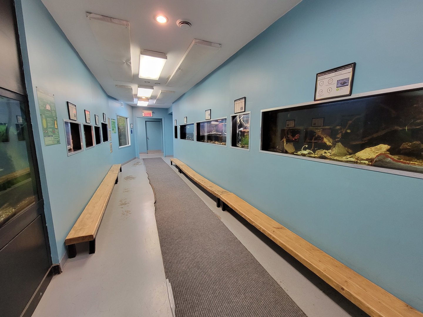 Ecomuseum Zoo - Rest of herp exhibits