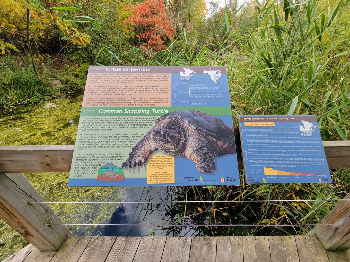 Ecomuseum Zoo - Signage example, common snapping turtle