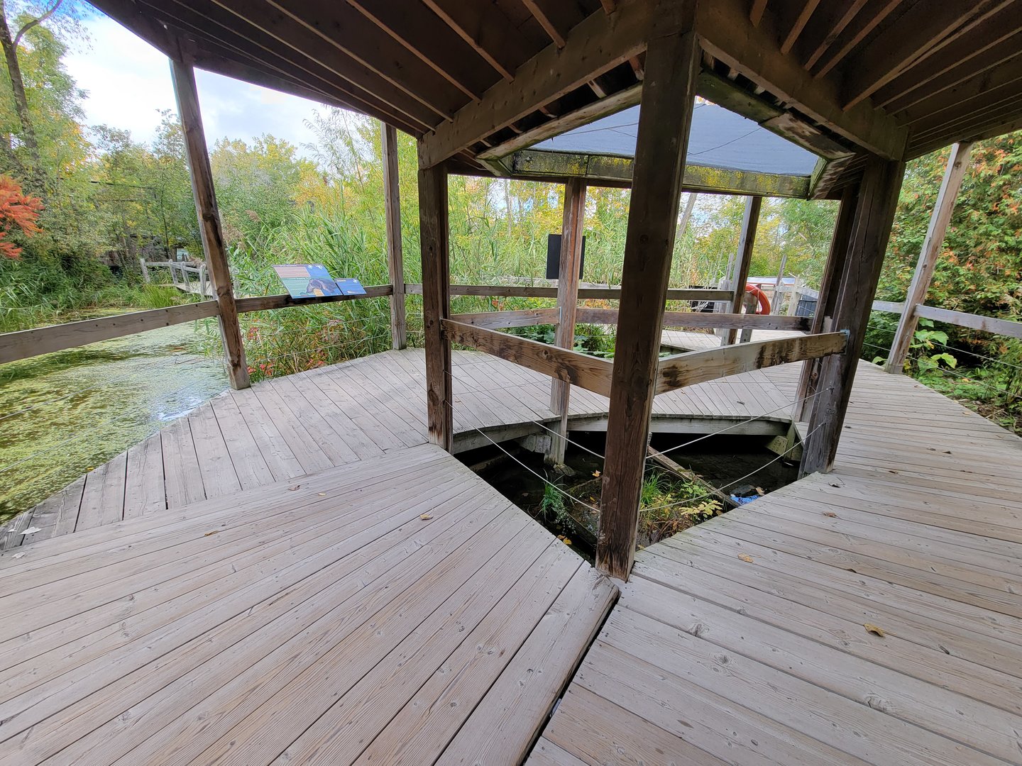 Ecomuseum Zoo - Turtle pond boardwalk
