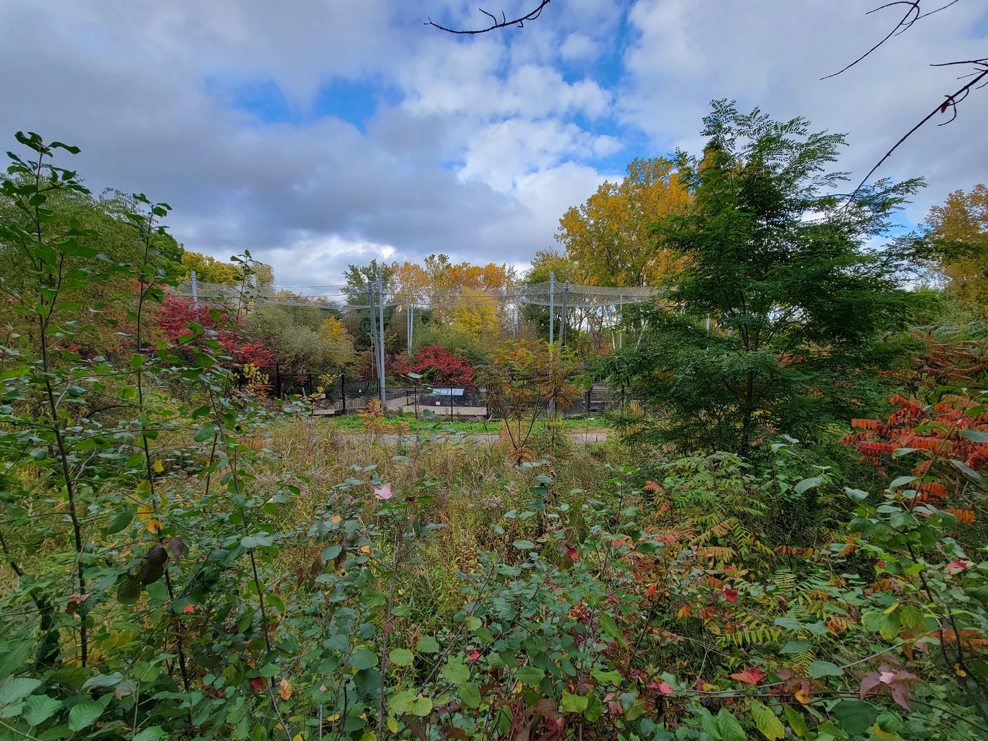 Ecomuseum Zoo - View of aviary from other side of pond