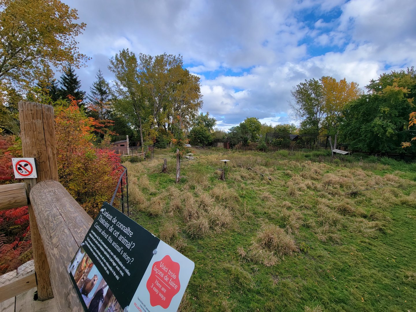 Ecomuseum Zoo - Whitetail deer